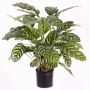 Artificial calathea makoyana GODE, green-yellow, 26"/65cm