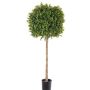 Fake boxwood THORIS, natural trunk, 3ft/105cm, Ø16"/40cm