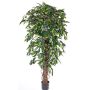 Fake ficus benjamina BERGLIND, natural trunks, green, 5ft/150cm