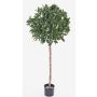 Fake cherry laurel ball ALEXIOS, real trunk, fruits, 5ft/145cm, Ø24"/60cm
