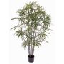 Artificial aralia CARLIE, fake trunks, green, 5ft/150cm