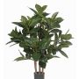 Fake rubber tree KAYDEN, natural trunks, green, 31"/80cm
