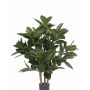 Fake rubber tree KAYDEN, natural trunks, green, 31"/80cm