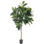 Fake rubber tree AMREI, natural trunk, green, 5ft/150cm