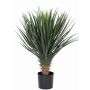 Fake yucca rostrata DRAKE, 31"/80cm