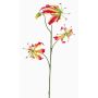 Fake gloriosa TIANA, pink-green, 31"/80cm, Ø3.1"-6"/8-15cm