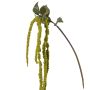 Plastic amaranthus branch YASIN, green, 4ft/125cm