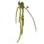 Plastic amaranthus branch YASIN, green, 4ft/125cm