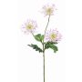 Fake chrysanthemum SOLVIE, white-pink, 28"/70cm, Ø4"/10cm