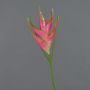 Artificial heliconia flower TOMKE, pink-green, 31"/80cm, Ø12"/30cm