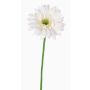 Silk gerbera HELLI, cream, 26"/65cm, Ø4.7"/12cm