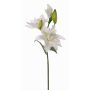 Silk flower lily ISALIE, white-green, 31"/80cm, Ø6"/15cm