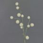 Artificial allium EMRAH, cream, 31"/80cm, Ø0.8"-1.6"/2-4cm