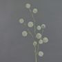 Artificial allium EMRAH, green, 31"/80cm, Ø0.8"-1.6"/2-4cm