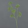 Fake wild chervil ESME, green, 24"/60cm, Ø3.1"/8cm
