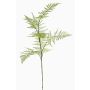 Fake asparagus plumosus branch HAYDON, green, 33"/85cm