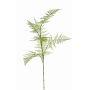 Fake asparagus plumosus branch HAYDON, green, 33"/85cm