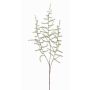 Fake asparagus acutifolius branch JOCHEN, green, 28"/70cm
