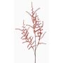 Artificial wild asparagus branch Asparagus acutifolius JOCHEN, orange, 28"/70cm
