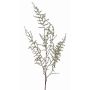 Fake asparagus acutifolius branch JOCHEN, green, 4ft/130cm