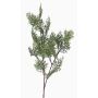 Fake cypress branch FROWIN, green, 31"/80cm