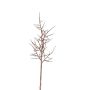 Artificial Christ's thorn branch OTTO, brown, 30"/75cm