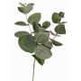 Silk eucalyptus branch JAMAL, green-grey, 10"/25cm