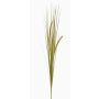 Fake foxtail grass JILL, on spike, panicles, green-yellow, 35"/90cm