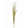 Fake foxtail grass JILL, on spike, panicles, green-yellow, 3ft/90cm