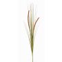 Fake foxtail grass JILL, on spike, panicles, green-red, 35"/90cm