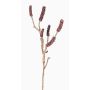 Fake callistemon branch SIRIUS with fruits, dark red, 24"/60cm