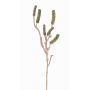 Fake callistemon branch SIRIUS with fruits, green, 24"/60cm