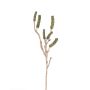 Fake callistemon branch HEMES with fruits, green, 24"/60cm