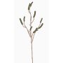 Fake callistemon branch SIRIUS with fruits, green, 35"/90cm