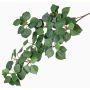 Artificial poplar branch ADRIEL, green, 28"/70cm