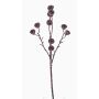 Fake eucalyptus branch BASILIUS with fruits, brown, 24"/60cm