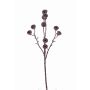 Fake eucalyptus branch BASILIUS with fruits, brown, 24"/60cm