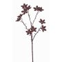 Plastic star anise branch DELANO with fruits, brown, 24"/60cm