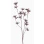 Artificial wild carrot DORIAN, brown, 26"/65cm, Ø1.6"/4cm