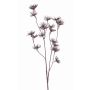 Artificial wild carrot DORIAN, brown, 26"/65cm, Ø1.6"/4cm