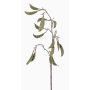 Artificial pea pods branch KLAUS, green, 35"/90cm