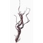 Artificial salix matsudana branch JACE, brown-red, 18"/45cm