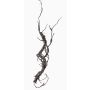 Artificial salix matsudana branch JACE, brown-grey, 22"/55cm