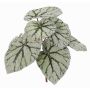 Fake begonia rex KATRICE on spike, green-grey, 10"/25cm