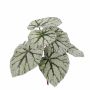 Fake begonia rex KATRICE on spike, green-grey, 10"/25cm