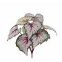 Fake begonia rex KATRICE on spike, violet-green, 10"/25cm