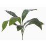 Fake aspidistra VASCO on spike, 22"/55cm