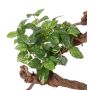 Fake pothos NAEL, on spike, hardly flammable, green-white, 20"/50cm