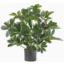 Silk schefflera LUKAS in decorative pot, green, 22"/55cm