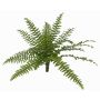 Fake Boston fern SASCHA on spike, crossdoor, green, 10"/25cm, Ø20"/50cm